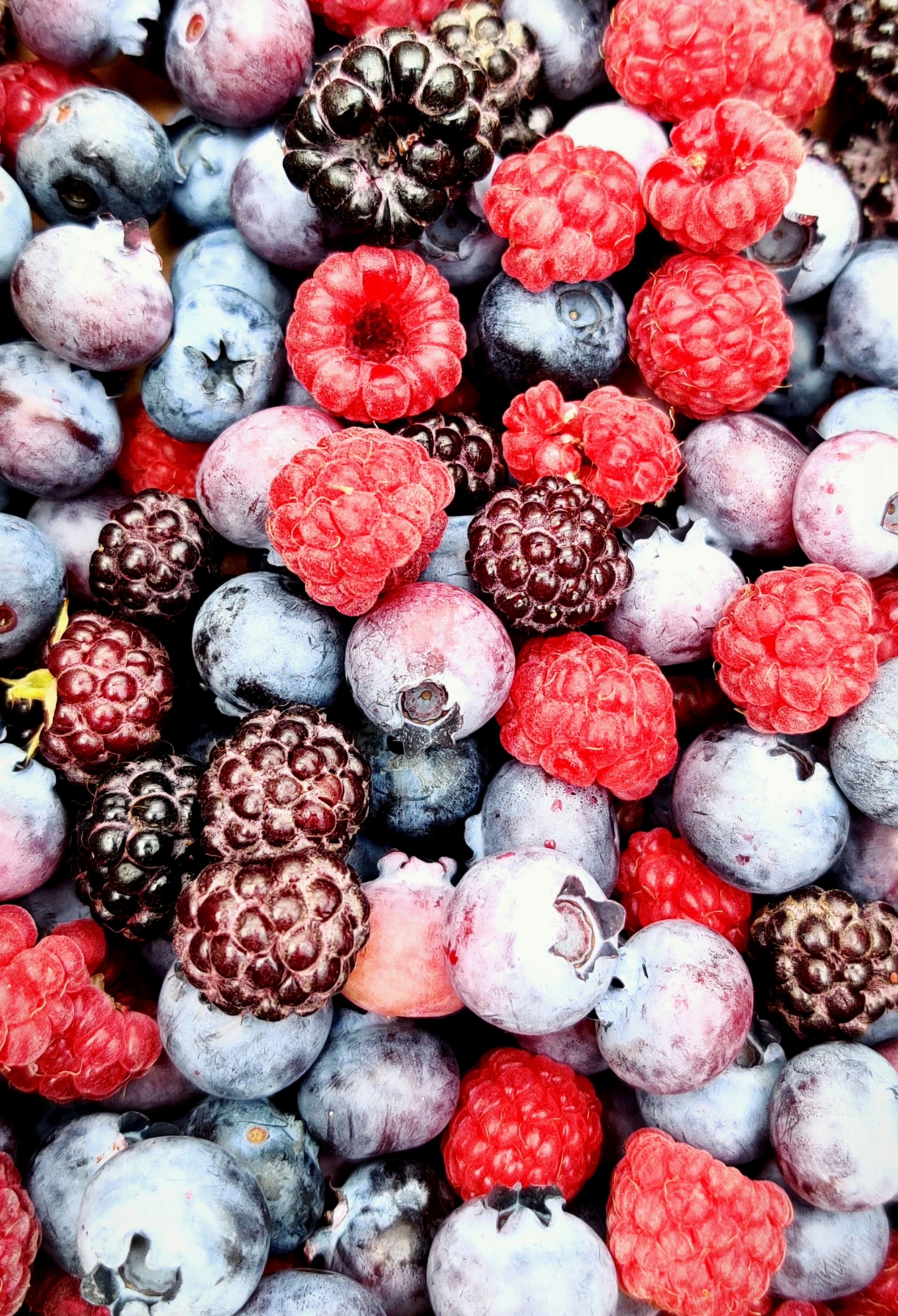 Fresh berries and assorted tropical fruits