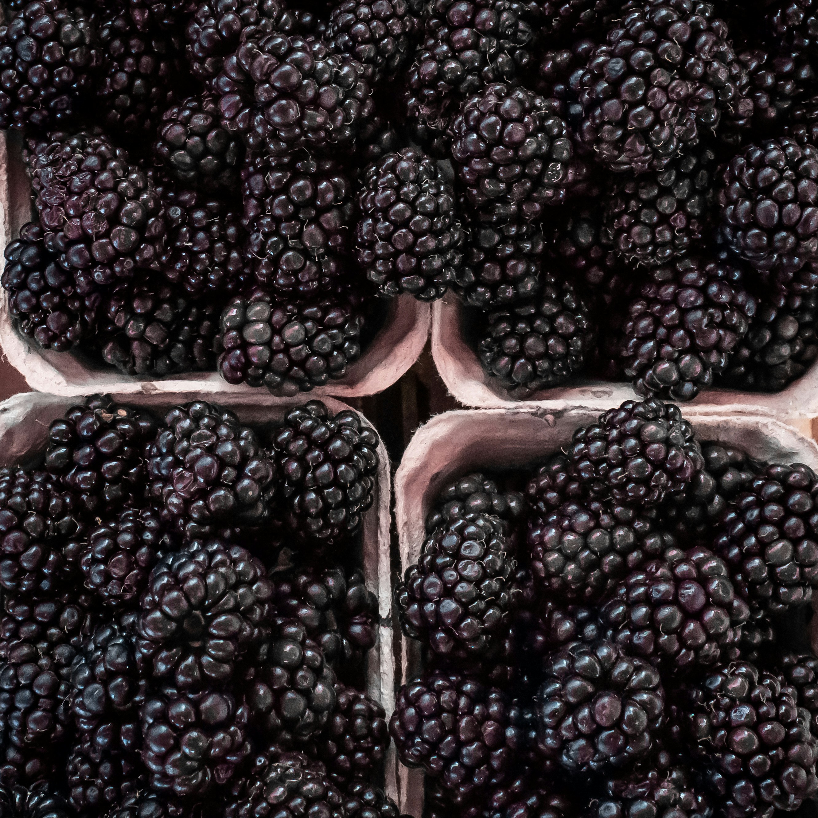 Frozen raspberries in bulk storage