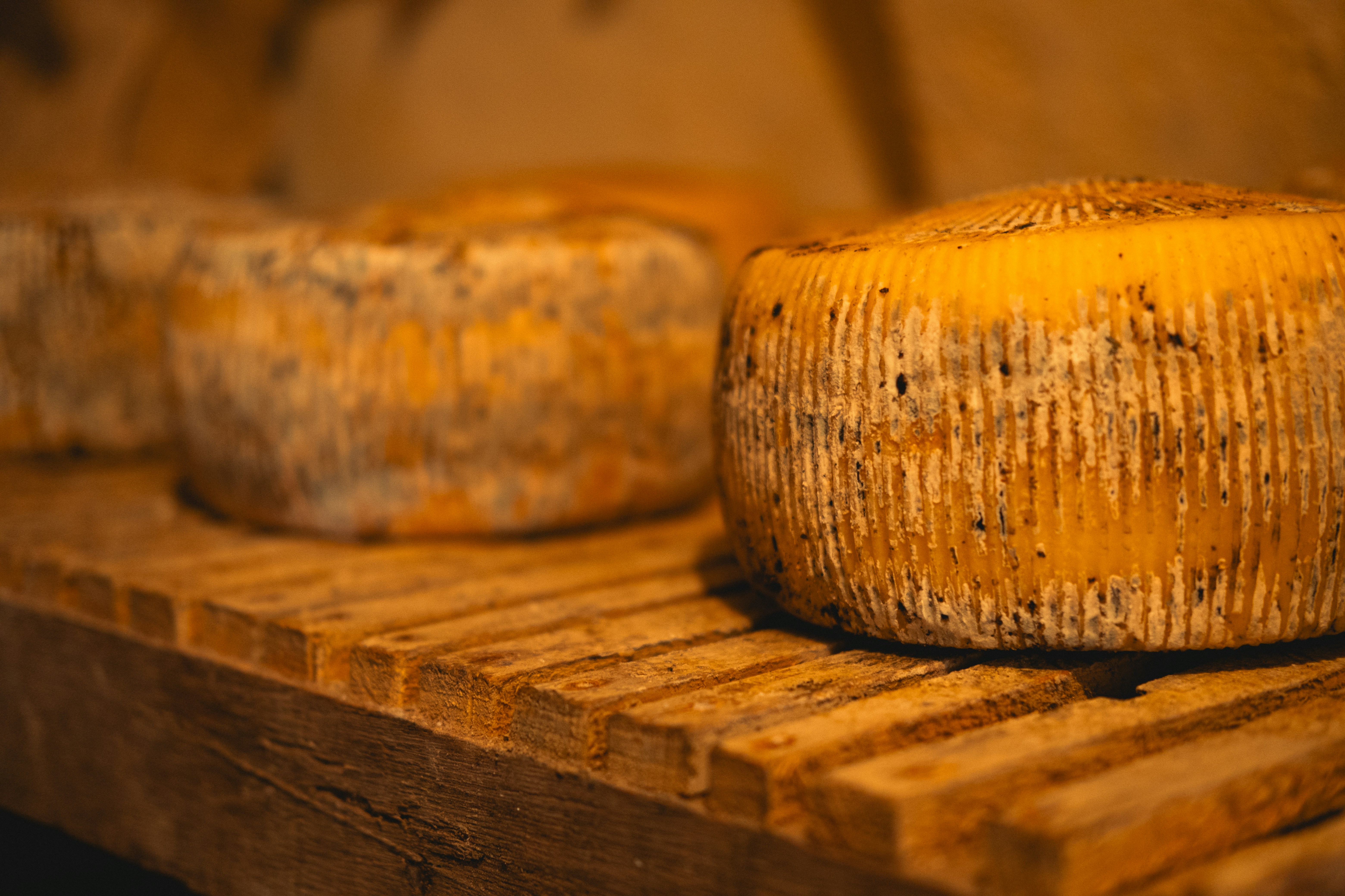Artisanal cheese and European dairy products