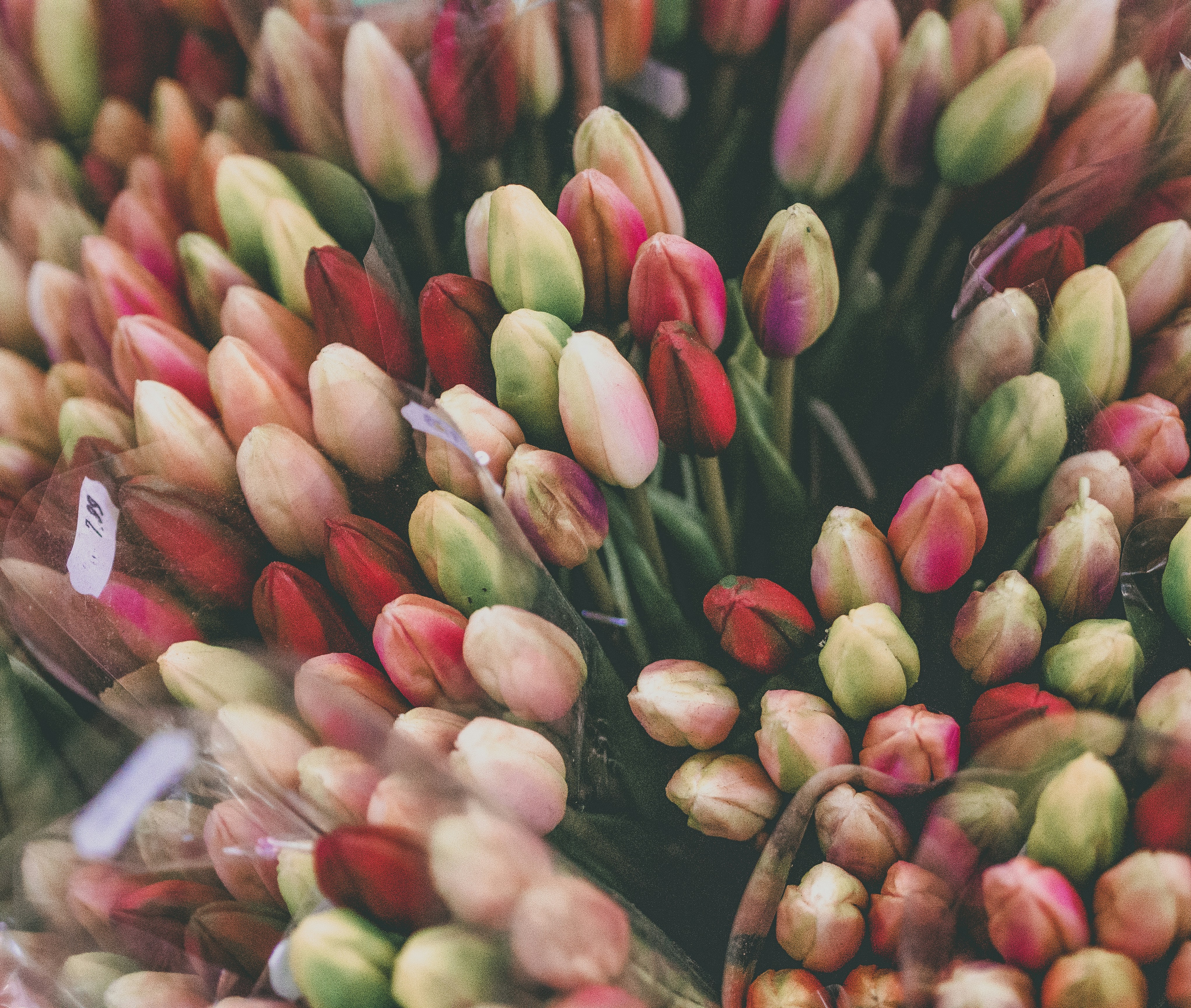 Commercial flower bunches ready distribution