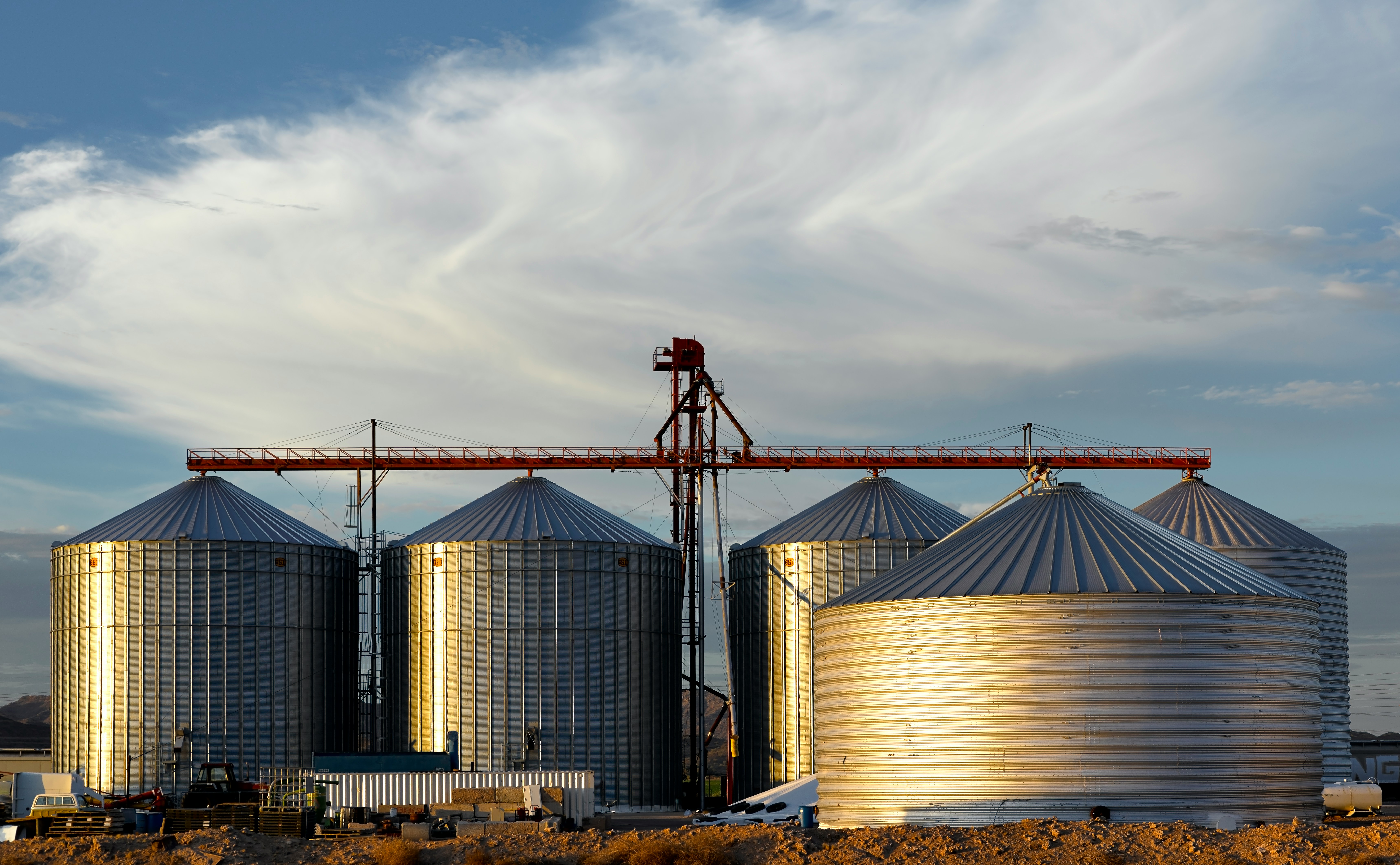 Mixed grains barley corn bulk