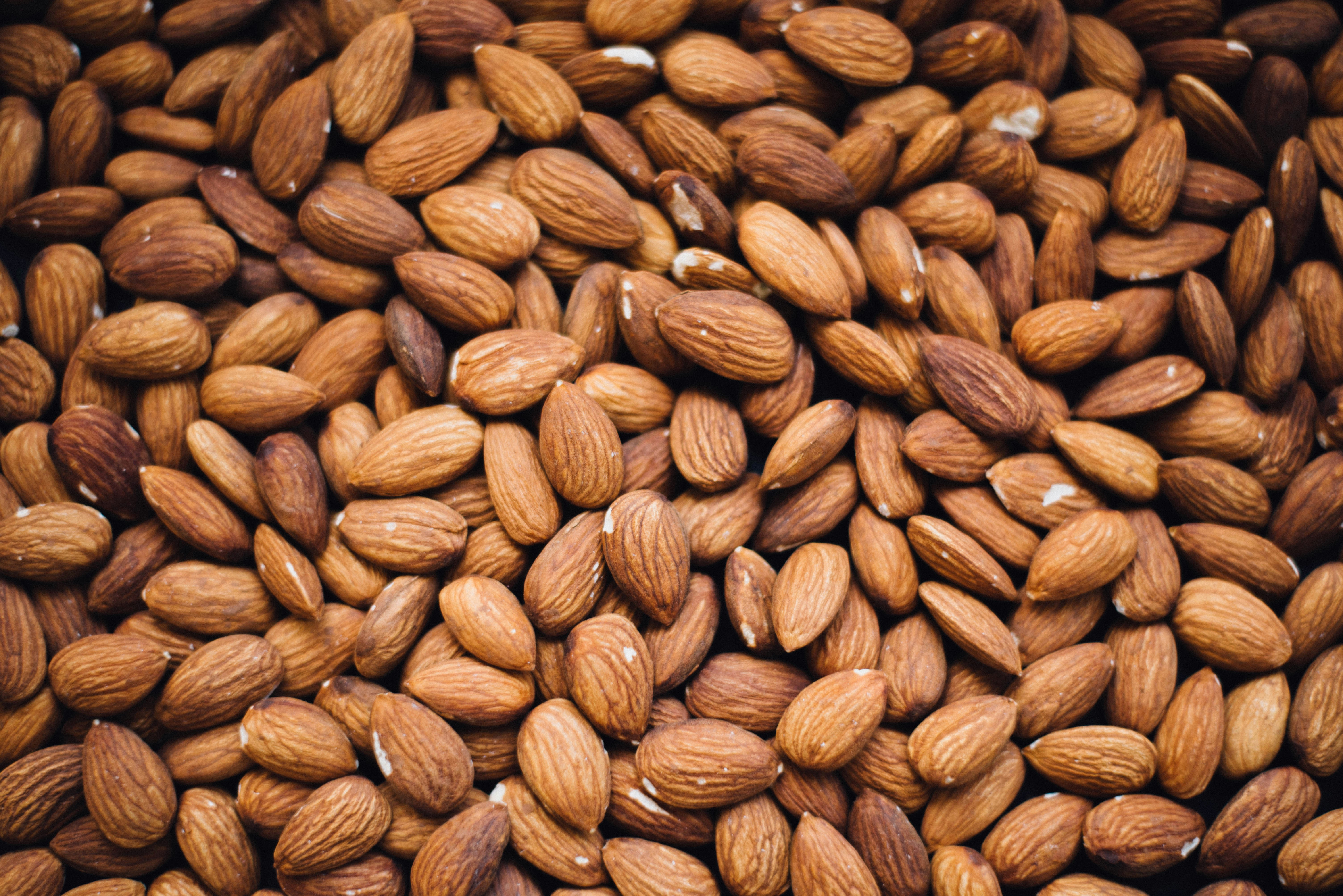 Premium mixed nuts and seeds wholesale bulk
