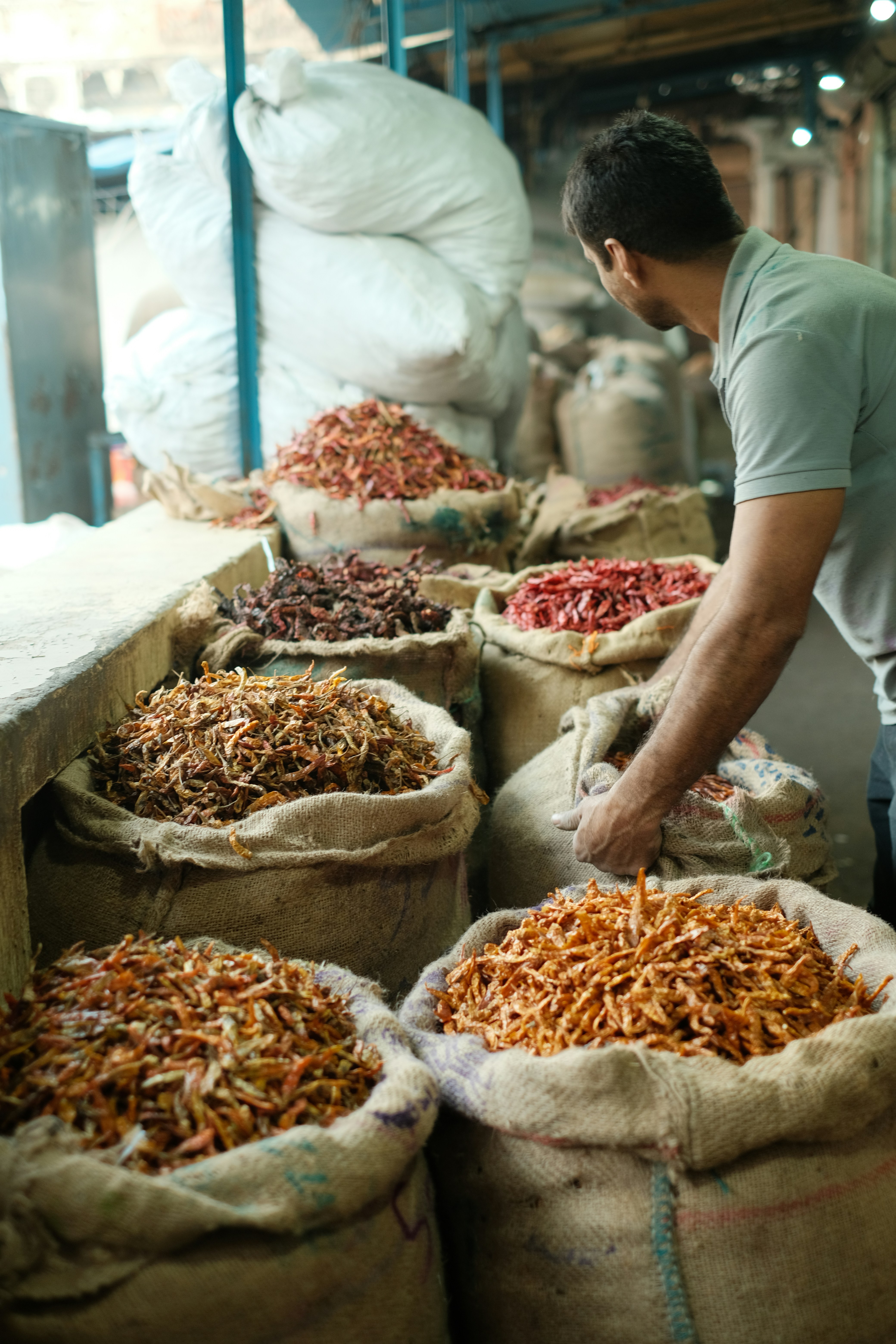 Dried herbs and seasonings assortment